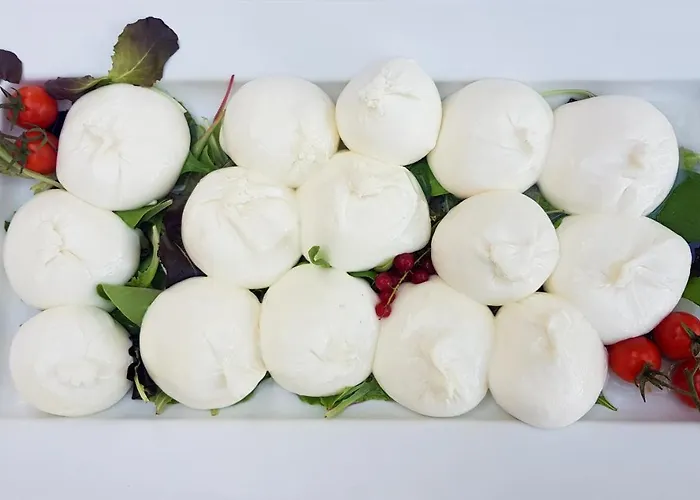 Hotel Mediterraneo Lignano Sabbiadoro